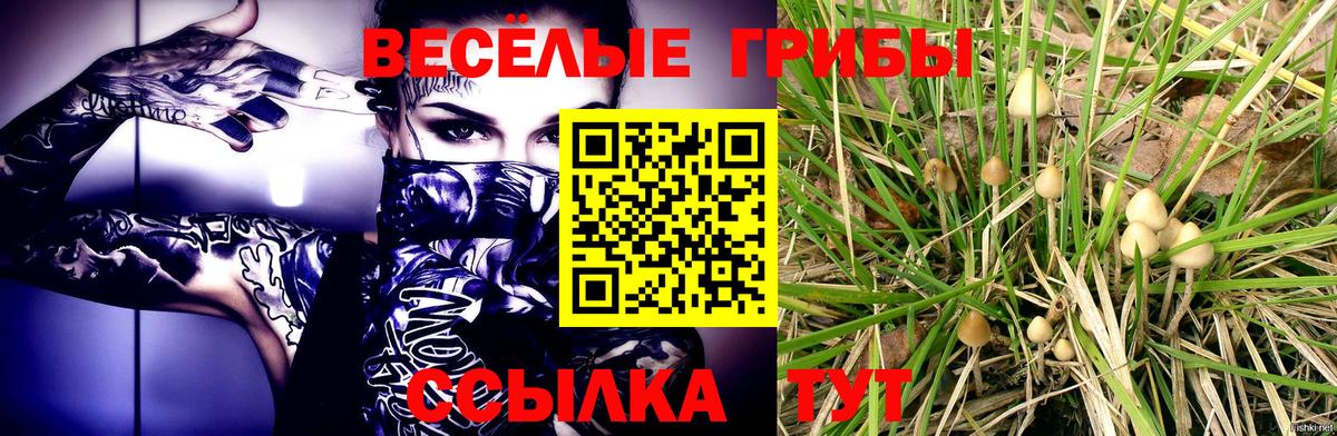 Галлюциногенные грибы ЛСД Лениногорск