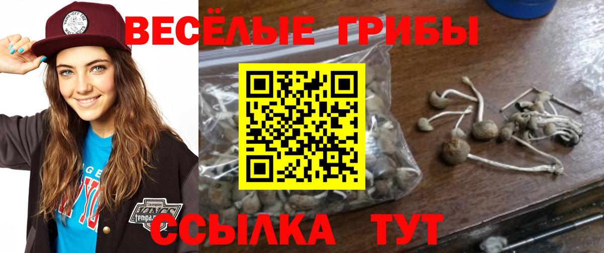 Лениногорск  Галлюциногенные грибы мухоморы  Галлюциногенные грибы мицелий  Вход с VPN 